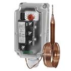 Frost Protection Thermostat