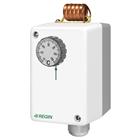 Wall Thermostat IP65